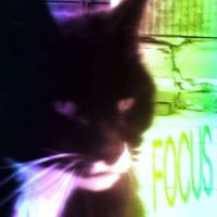 teggups - Vivid Lack of Focus
