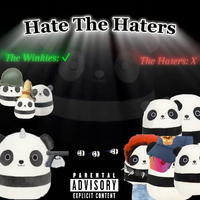 The Winkys - Hate The Haters