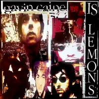Gavin Caine - Is Lemons