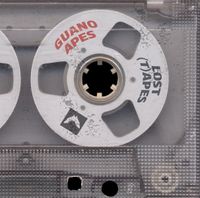 Guano Apes - Lost (T)apes