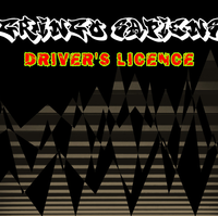 Gringo Sapiens - Driver's License
