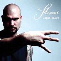 Steen1 - Jedin Paluu