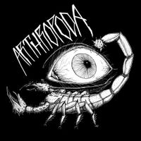 Arthropoda - Arthropoda