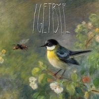 I Get Bye - Bird and the Bee