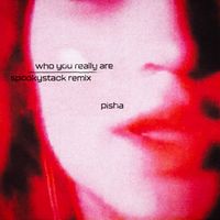 Pisha - Who You Really Are (Spookystack Remix)