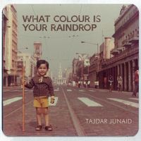 Tajdar Junaid - What Colour Is Your Raindrop