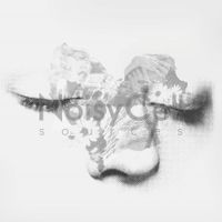 NoisyCell - Sources
