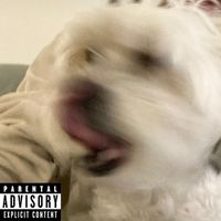 JoshBitz - LEX!