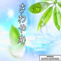 X/ - さわやか