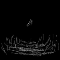 nimality - l i m b o