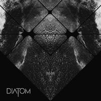 Diatom - Diatom