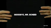 Jack Stauber - Goodbye, Mr. Schizo