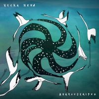 Veera Neva - Avaruuskaipuu