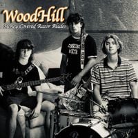 WoodHill - Honey Covered Razor Blades