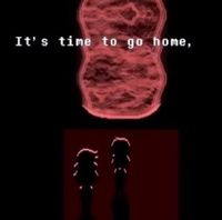 spmaio - It&rsquo;s Time To Go Home