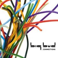 Big Bud - Connections