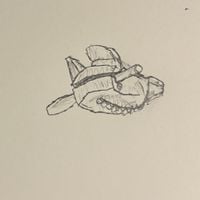 The 365 Project - Ultrasonic Insect Repeller