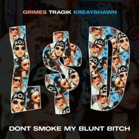 L$D - Don&rsquo;t Smoke My Blunt Bitch