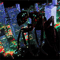 Ants On Drugs - Live For An Audience Of No One