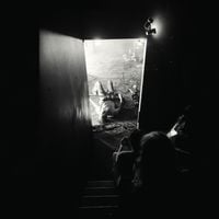 METZ - Dry Up