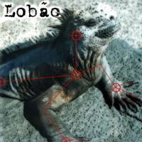 Lob&atilde;o - Noite