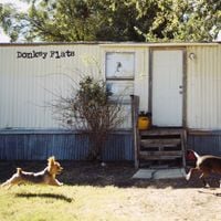 Dexter and The Moonrocks - Donkey Flats