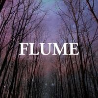 Flume - Sleepless