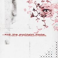 concealer. - ...And the Sunlight Spoke