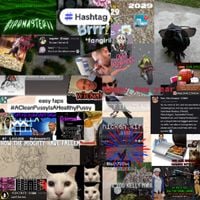 Birdmaster11 - Happy New Year 2029