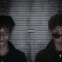 Schyzomandias7x - LINKA 20