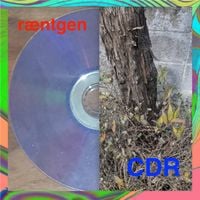 Ræntgen & CDR - Split