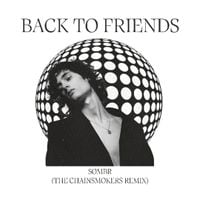 The Chainsmokers - back to friends (The Chainsmokers Remix)