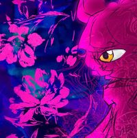 Rem3dy - Planet Rem3dy
