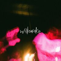 Willowake - Playground