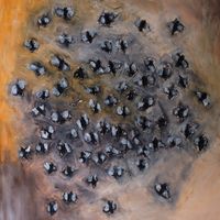 Stafr&aelig;nn H&aacute;kon - Asleep