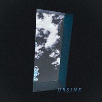 BALDUVIAN BEARS - Ursine
