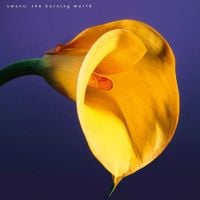 Swans - The Burning World