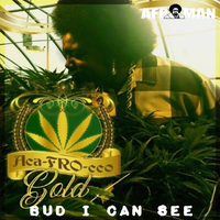 Afroman - Bud I Can See