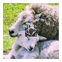 JDisk - For Emergency Vol. 4