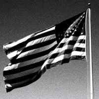nightsinmycity - Home Of The Brave