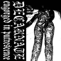 Decarnate - Engorged in Putrescence