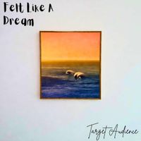 Target Audience - Felt Like A Dream