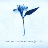 China Bears - Total Communication Breakdown (acoustic)