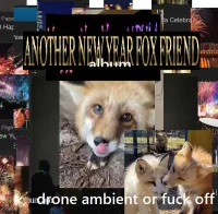 🦊 - ANOTHER New Year Fox Friend yay