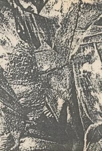 Merzbow - Lowest Music.2