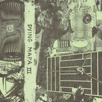 Merzbow - Dying Mapa III