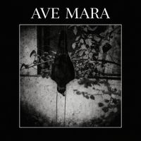 AVE MARA - PETROLEO (DEMO)