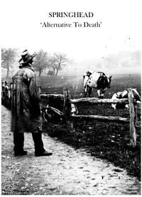 Springhead - Alternative To Death