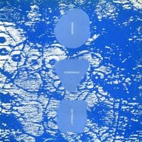 Merzbow - Ecobondage