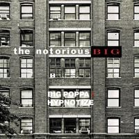 The Notorious B.I.G. - Big Poppa/Hypnotize